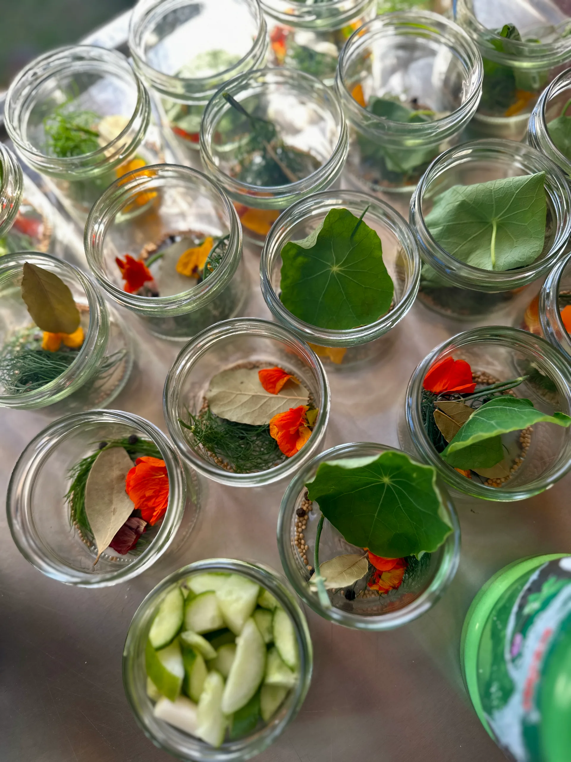 tipps-cover-milchsaure-zucchini-pickels – Zucchini-Pickels in einem Einmachglas