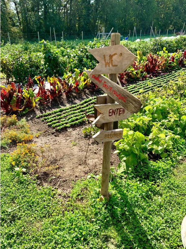 Vom Feld ins Glas_Unser Bauerngarten_3.jpg