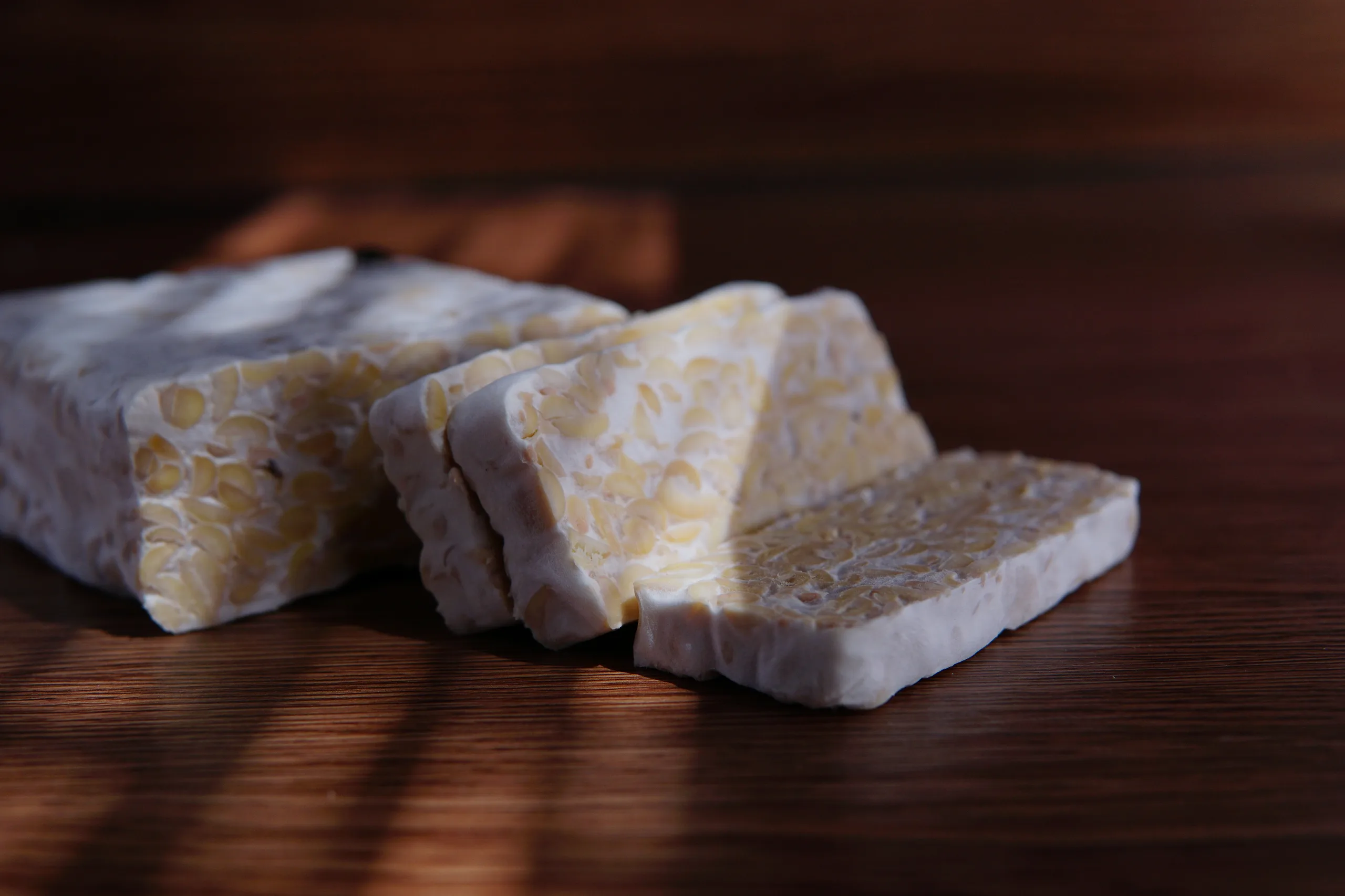 tempeh fermentfreude