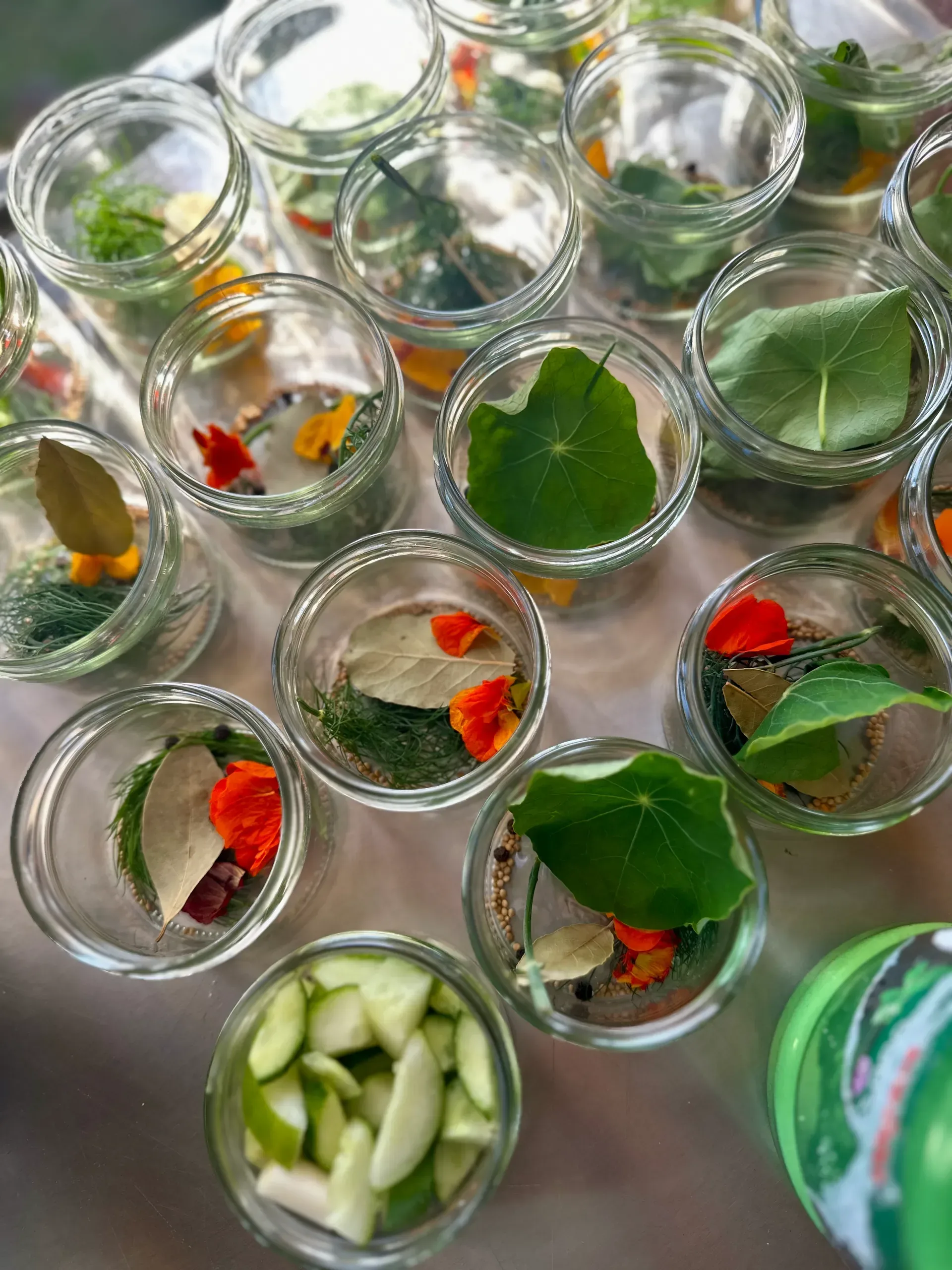 feld-ins-glas-voucher-bg – Gurken fermentieren