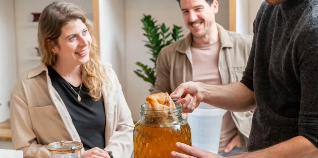 Gallery – kombucha SCOBY jar closeup
