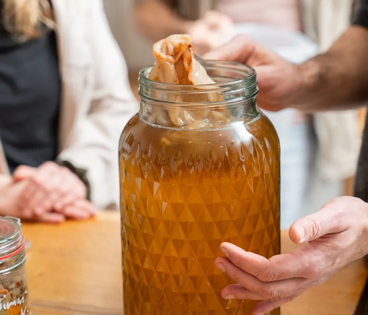 Kombucha workshop – kombucha SCOBY and fermented tea in jar